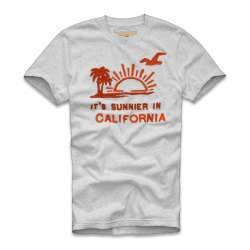 HCO 03